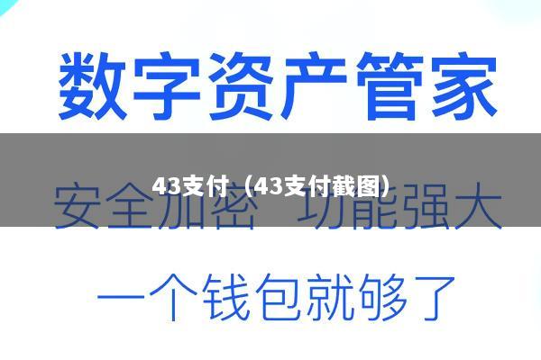 43支付(43支付截图)