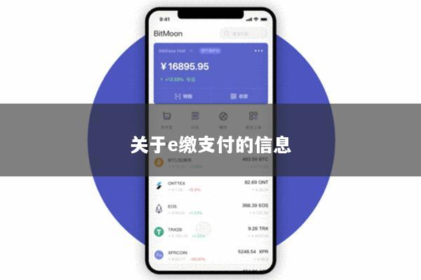 关于e缴支付的信息