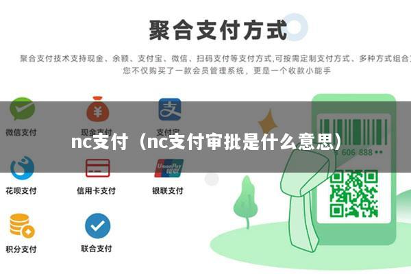 nc支付(nc支付审批是什么意思)