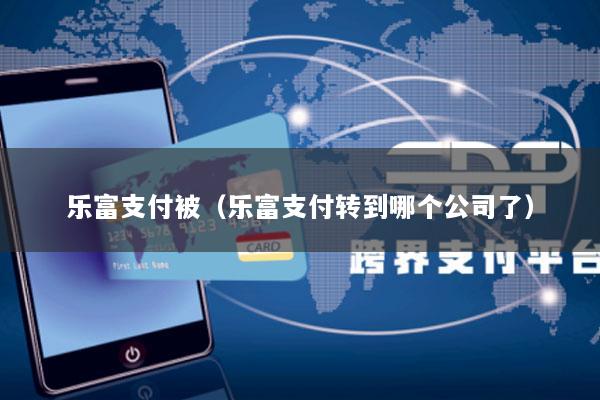 乐富支付被(乐富支付转到哪个公司了)