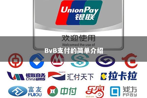 BvB支付的简单介绍