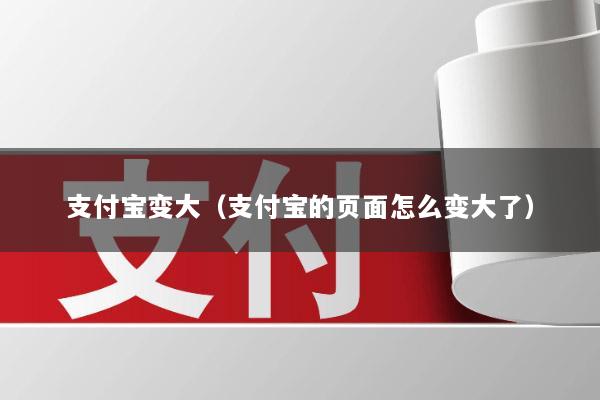 支付宝变大(支付宝的页面怎么变大了)