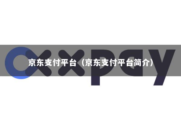 京东支付平台(京东支付平台简介)