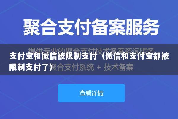 支付宝和微信被限制支付(微信和支付宝都被限制支付了)