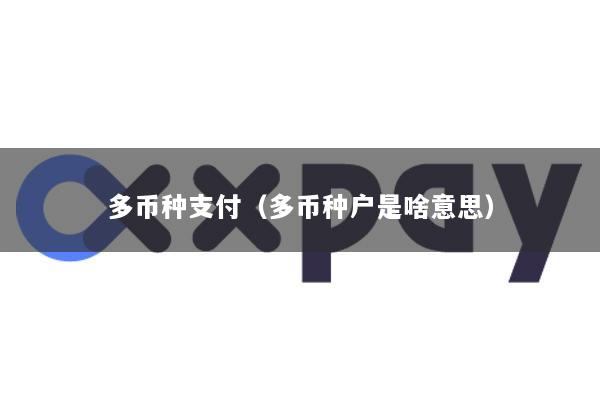 多币种支付(多币种户是啥意思)