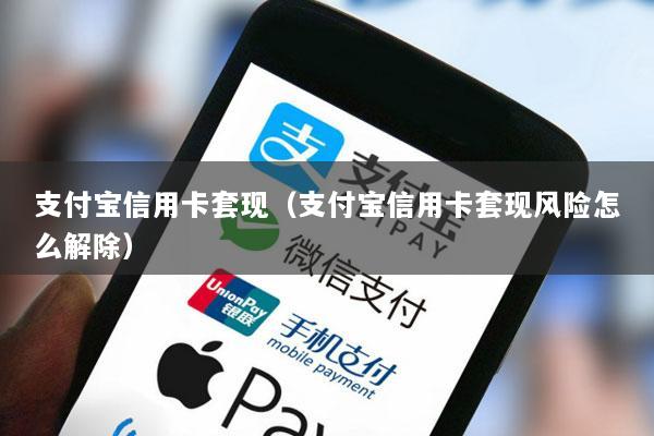 支付宝信用卡套现(支付宝信用卡套现风险怎么解除)