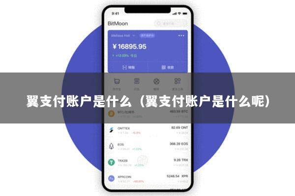 翼支付账户是什么(翼支付账户是什么呢)
