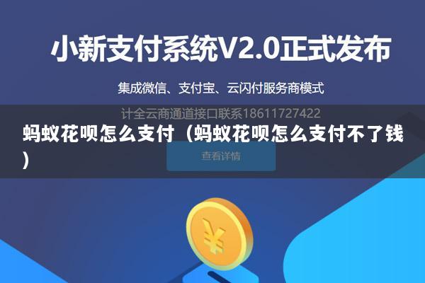 蚂蚁花呗怎么支付(蚂蚁花呗怎么支付不了钱)