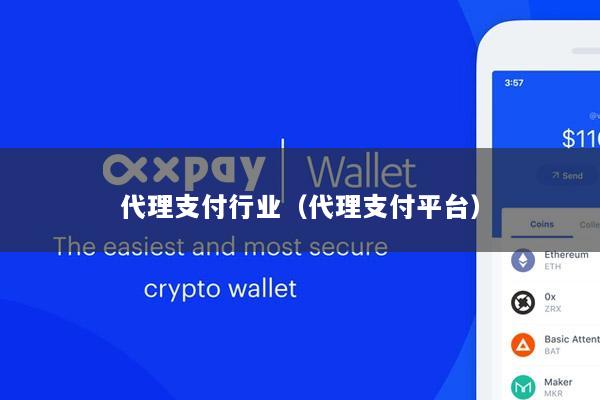 代理支付行业(代理支付平台)