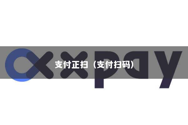 支付正扫(支付扫码)