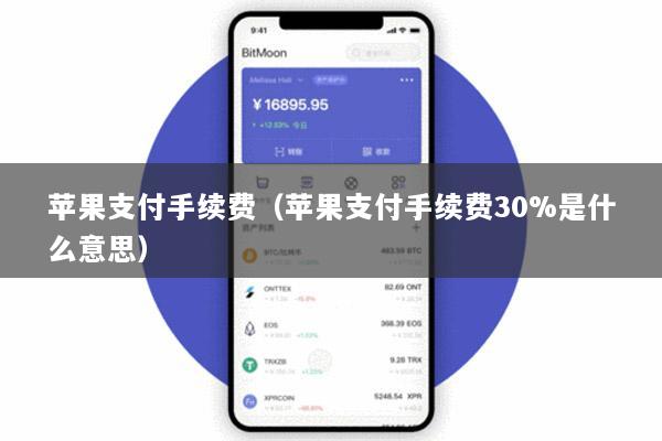 苹果支付手续费(苹果支付手续费30%是什么意思)