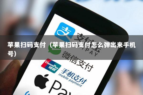 苹果扫码支付(苹果扫码支付怎么弹出来手机号)