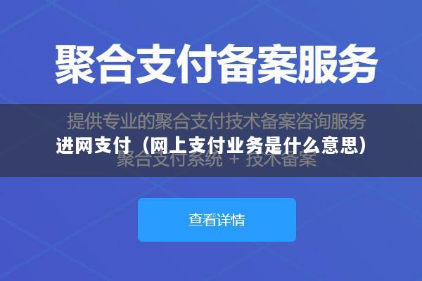 进网支付(网上支付业务是什么意思)