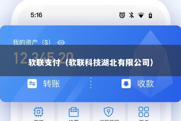 软联支付(软联科技湖北有限公司)