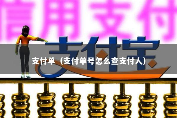 支付单(支付单号怎么查支付人)