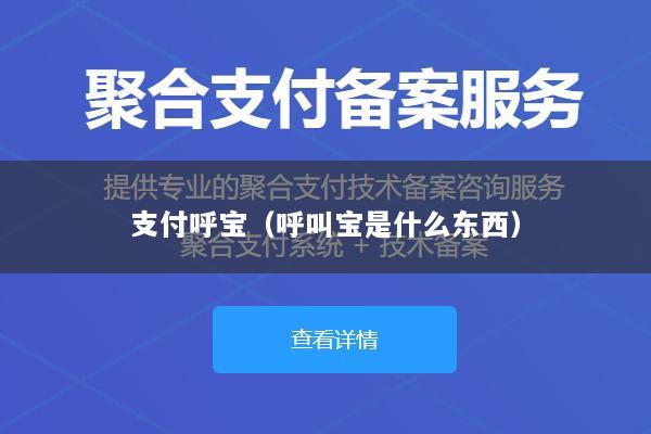 支付呼宝(呼叫宝是什么东西)