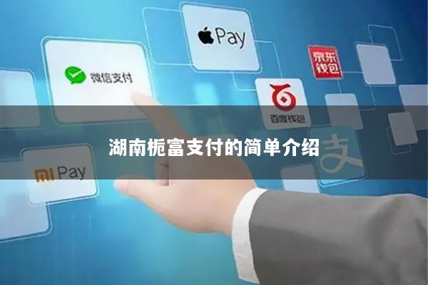 湖南栀富支付的简单介绍