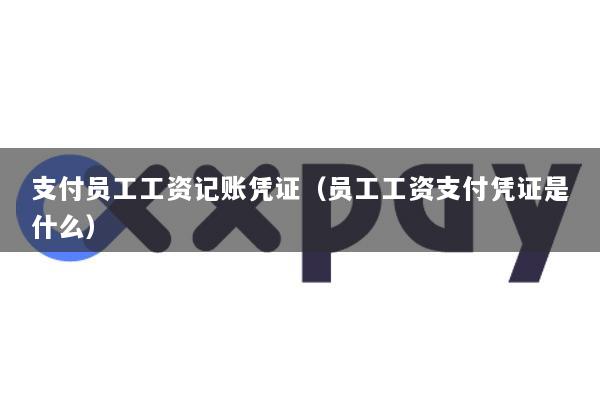 支付员工工资记账凭证(员工工资支付凭证是什么)