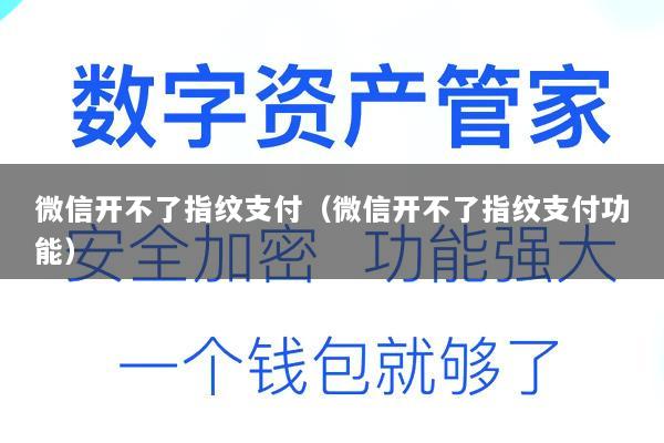 微信开不了指纹支付(微信开不了指纹支付功能)