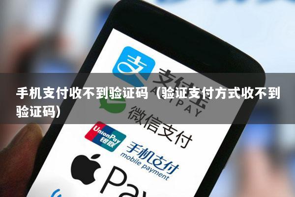 手机支付收不到验证码(验证支付方式收不到验证码)