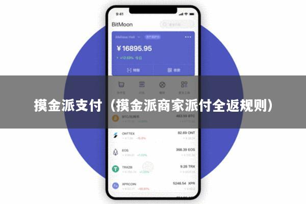 摸金派支付(摸金派商家派付全返规则)