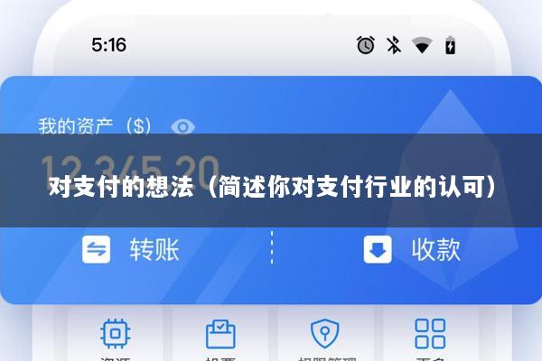 对支付的想法(简述你对支付行业的认可)