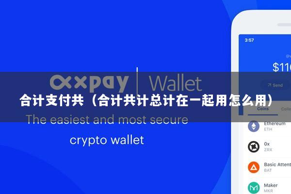 合计支付共(合计共计总计在一起用怎么用)