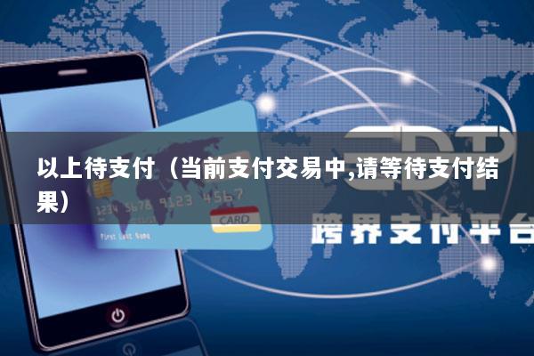 以上待支付(当前支付交易中,请等待支付结果)