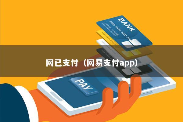 网已支付(网易支付app)