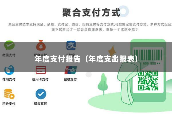 年度支付报告(年度支出报表)