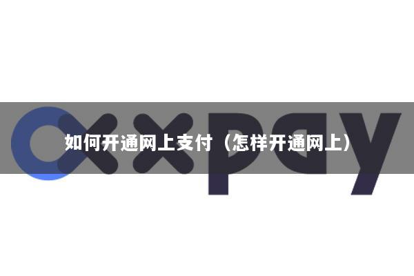 如何开通网上支付(怎样开通网上)