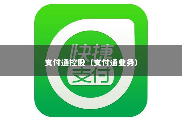 支付通控股(支付通业务)