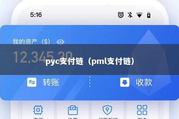 pyc支付链(pml支付链)