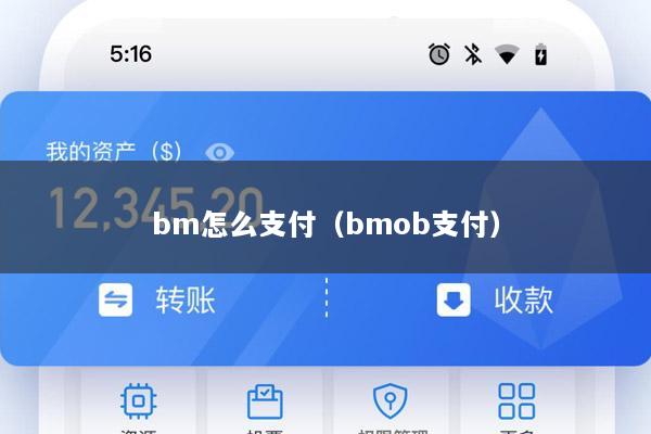 bm怎么支付(bmob支付)