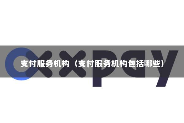 支付服务机构(支付服务机构包括哪些)