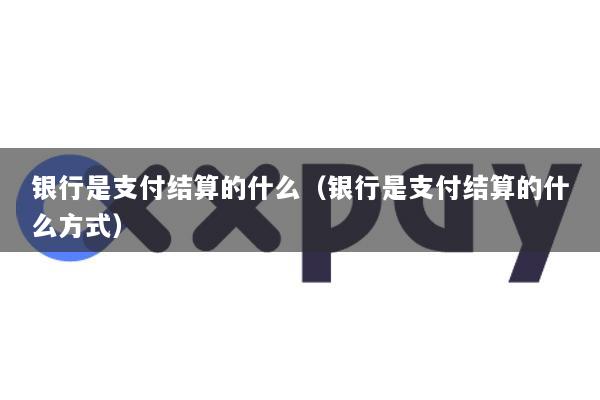 银行是支付结算的什么(银行是支付结算的什么方式)