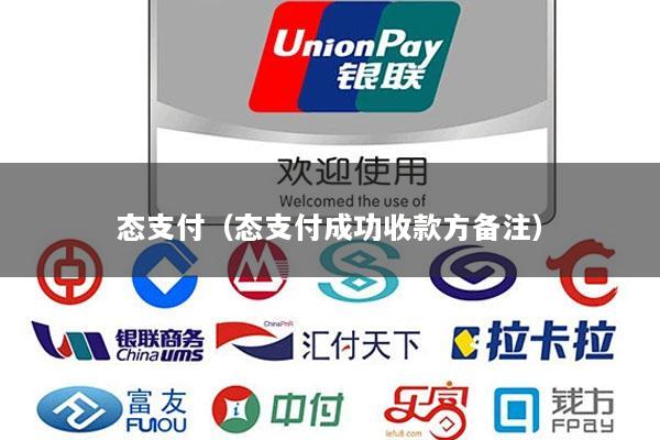 态支付(态支付成功收款方备注)