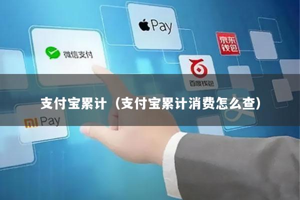 支付宝累计(支付宝累计消费怎么查)