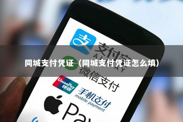 同城支付凭证(同城支付凭证怎么填)