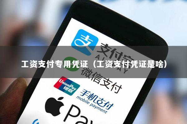 工资支付专用凭证(工资支付凭证是啥)