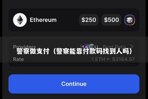 警察做支付(警察能靠付款码找到人吗)