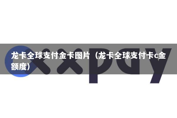 龙卡全球支付金卡图片(龙卡全球支付卡c金额度)