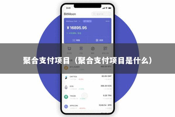 聚合支付项目(聚合支付项目是什么)