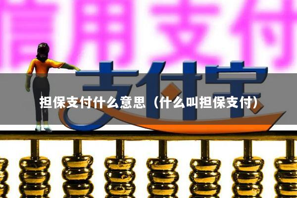 担保支付什么意思(什么叫担保支付)