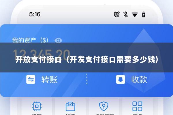 开放支付接口(开发支付接口需要多少钱)