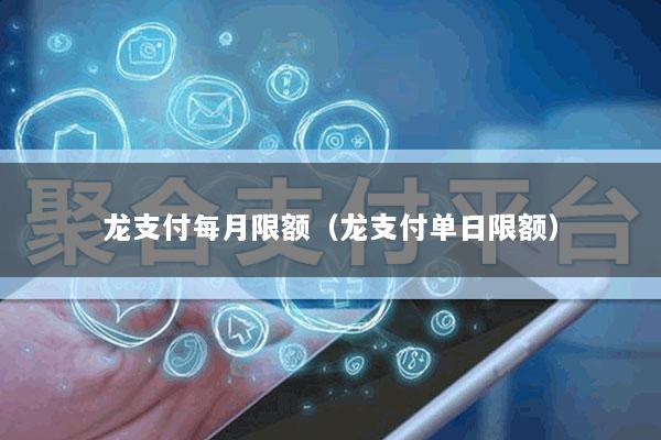 龙支付每月限额(龙支付单日限额)