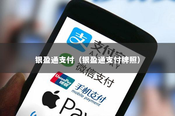 银盈通支付(银盈通支付牌照)