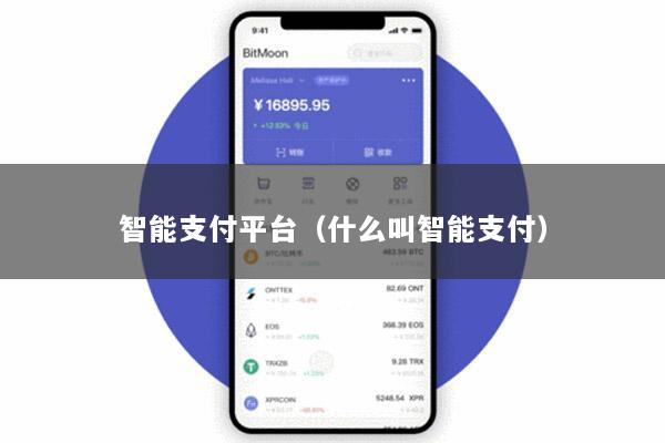 智能支付平台(什么叫智能支付)