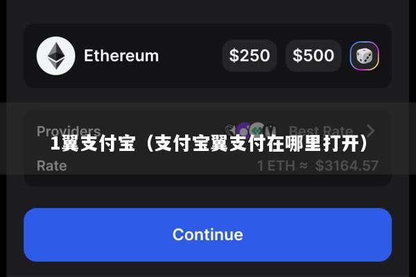 1翼支付宝(支付宝翼支付在哪里打开)