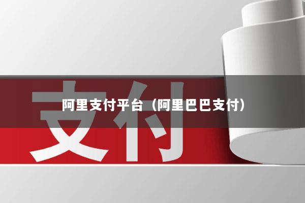 阿里支付平台(阿里巴巴支付)